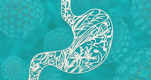 leaky gut